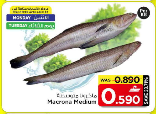 available at مارك & سايف in عُمان - مسقط‎