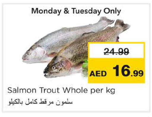 available at نستو هايبرماركت in الإمارات العربية المتحدة , الامارات - رَأْس ٱلْخَيْمَة