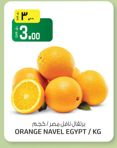 Orange from Egypt available at السعودية in قطر - الشمال