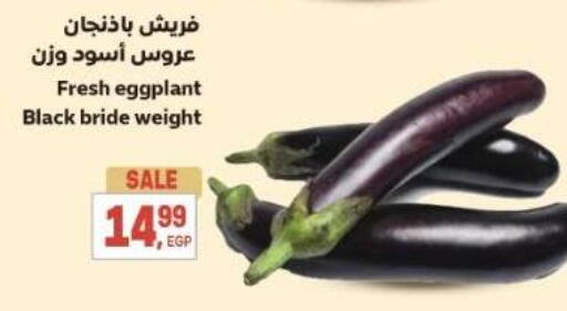 Eggplant available at El.Husseini supermarket  in Egypt - Cairo
