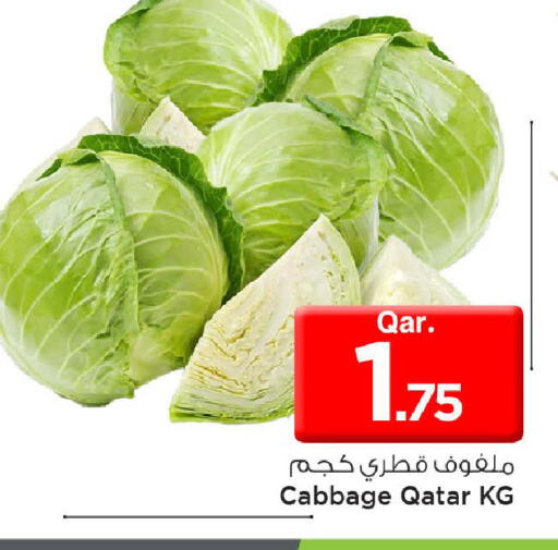 Cabbage from Qatar available at مارك & سيف in قطر - الضعاين