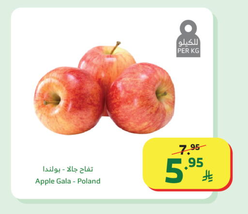 Apple from Poland available at Al Raya in KSA, Saudi Arabia, Saudi - Al Qunfudhah