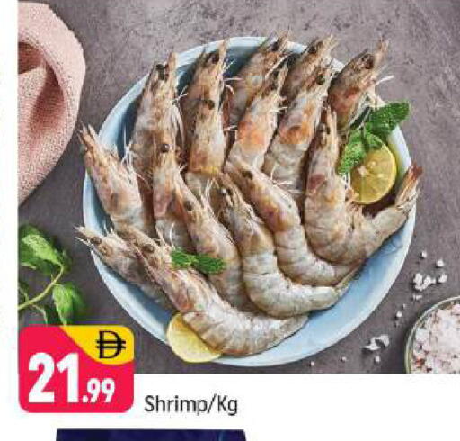 available at شكلان ماركت in الإمارات العربية المتحدة , الامارات - دبي