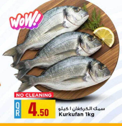 available at مرزا هايبرماركت in قطر - الشحانية