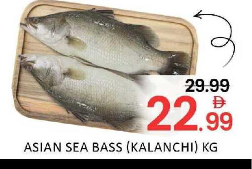 Mango available at Mango Hypermarket LLC in UAE - Dubai