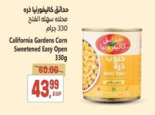 available at El.Husseini supermarket  in Egypt - Cairo