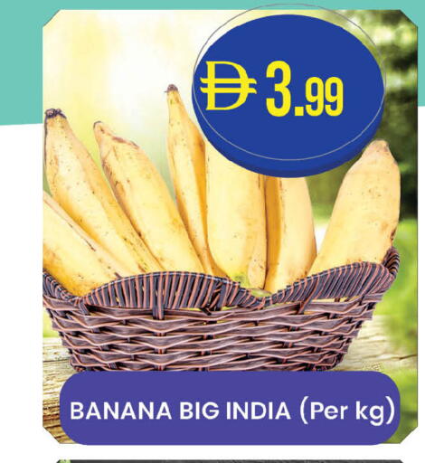 Banana from India available at ك. الم. للتجارة in الإمارات العربية المتحدة , الامارات - ٱلْفُجَيْرَة‎