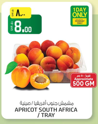 Apricot from South Africa available at Saudia Hypermarket in Qatar - Al Shamal