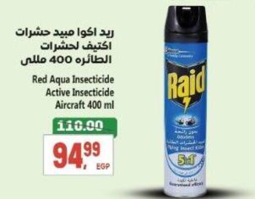 available at El.Husseini supermarket  in Egypt - Cairo