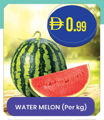 Melon available at ك. الم. للتجارة in الإمارات العربية المتحدة , الامارات - ٱلْفُجَيْرَة‎
