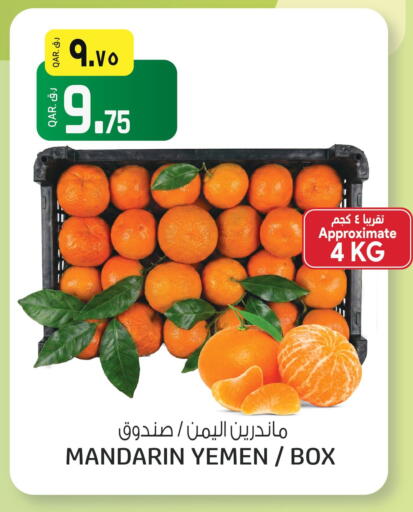 Mandarin from Yemen available at السعودية in قطر - الشمال