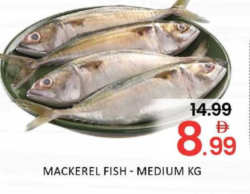 Mango available at Mango Hypermarket LLC in UAE - Dubai