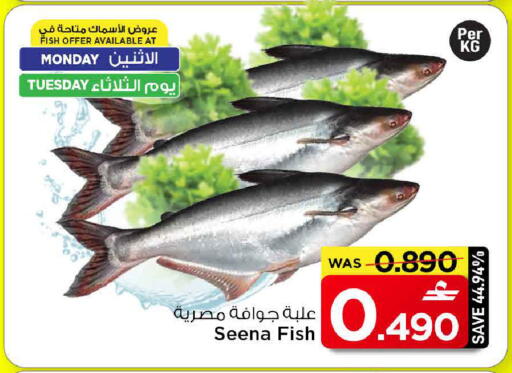 available at مارك & سايف in عُمان - مسقط‎