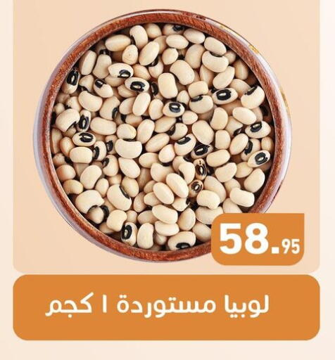 available at أسواق العثيم in Egypt - القاهرة