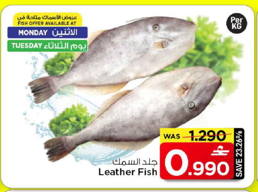 available at مارك & سايف in عُمان - مسقط‎