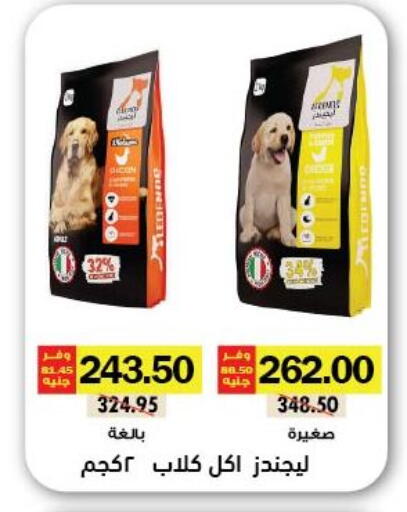 available at Royal House in Egypt - Cairo