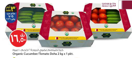 Cucumber Tomato from Qatar available at Safari Hypermarket in Qatar - Umm Salal