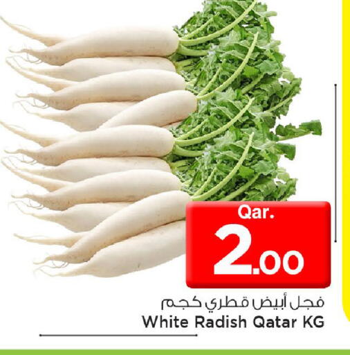 Radish from Qatar available at مارك & سيف in قطر - الضعاين
