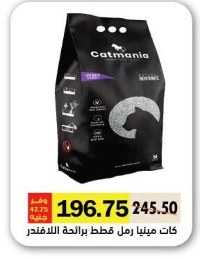 available at Royal House in Egypt - Cairo