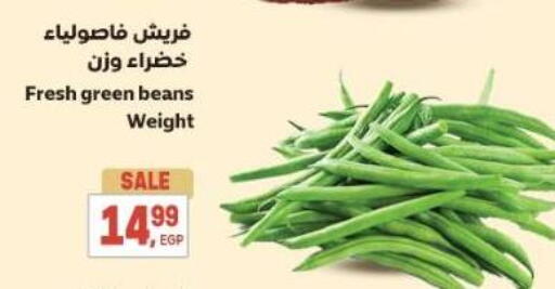 available at El.Husseini supermarket  in Egypt - Cairo