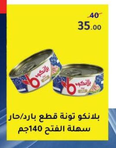 available at Wekalet Elmansoura - Dakahlia  in Egypt - Cairo