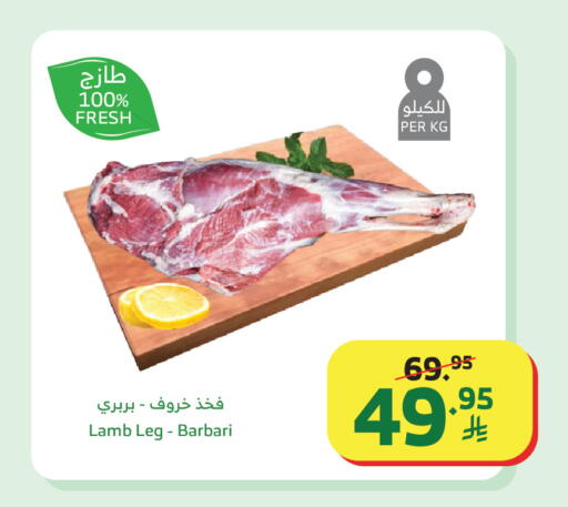 available at Al Raya in KSA, Saudi Arabia, Saudi - Al Qunfudhah