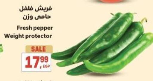 Pepper available at سوبر ماركت الحسينى in Egypt - القاهرة