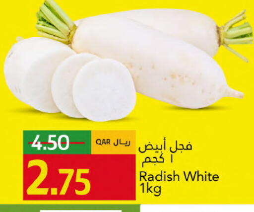 Radish available at جلف فود سنتر in قطر - الشحانية