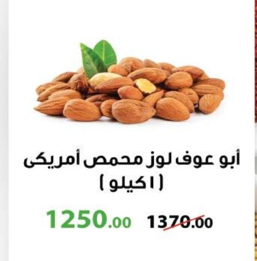 available at Royal House in Egypt - Cairo