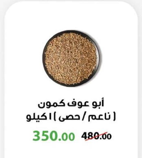 available at Royal House in Egypt - Cairo