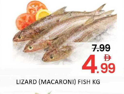 Mango available at مانجو هايبرماركت in الإمارات العربية المتحدة , الامارات - دبي