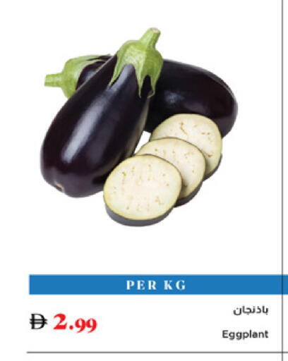 Eggplant available at Trolleys Supermarket in UAE - Dubai