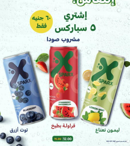 Blueberry BlueBerry Strawberry Watermelon Lemon Mint available at Wekalet Elmansoura - Dakahlia  in Egypt - Cairo