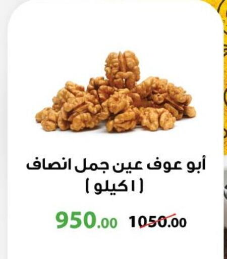 available at رويال هاوس in Egypt - القاهرة