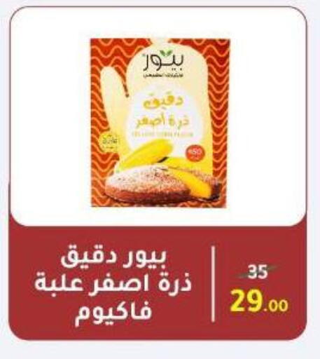 available at Wekalet Elmansoura - Dakahlia  in Egypt - Cairo