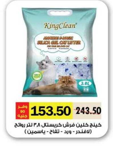 available at Royal House in Egypt - Cairo