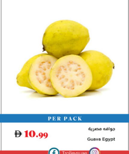 Guava from Egypt available at تروليز سوبرماركت in الإمارات العربية المتحدة , الامارات - الشارقة / عجمان