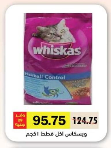 available at Royal House in Egypt - Cairo