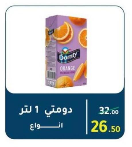 Orange available at Wekalet Elmansoura - Dakahlia  in Egypt - Cairo