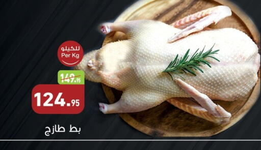 available at أسواق العثيم in Egypt - القاهرة