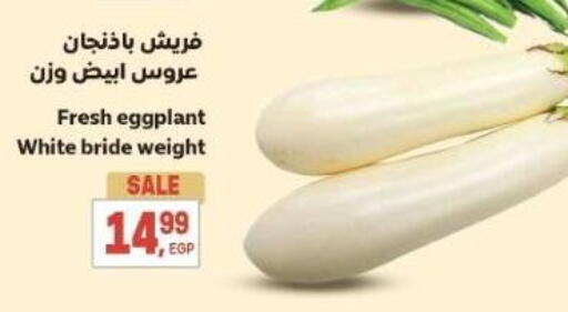 Eggplant available at El.Husseini supermarket  in Egypt - Cairo