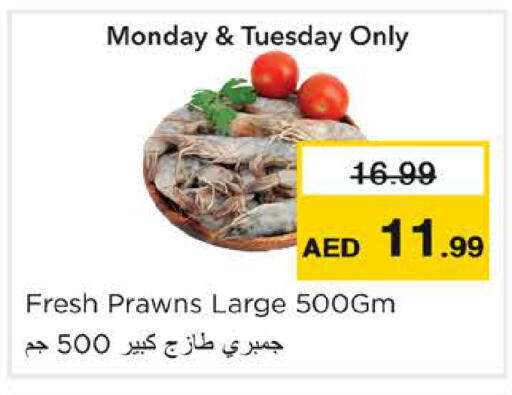 available at نستو هايبرماركت in الإمارات العربية المتحدة , الامارات - رَأْس ٱلْخَيْمَة