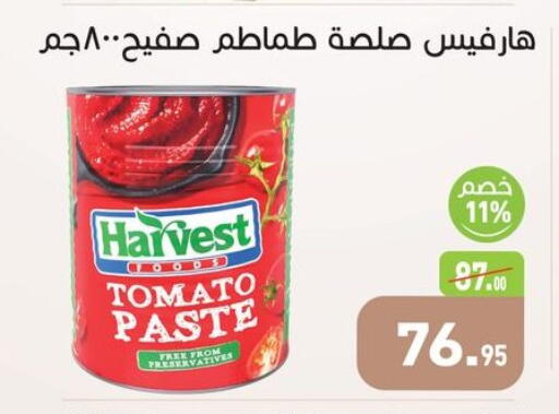 Tomato available at Othaim Market   in Egypt - Cairo