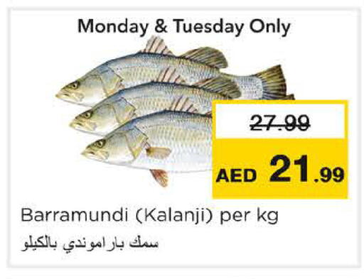 available at نستو هايبرماركت in الإمارات العربية المتحدة , الامارات - رَأْس ٱلْخَيْمَة