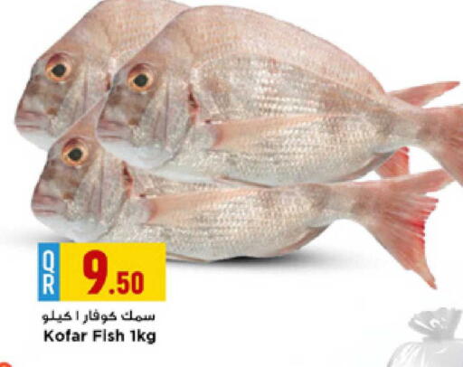 available at Marza Hypermarket in Qatar - Doha