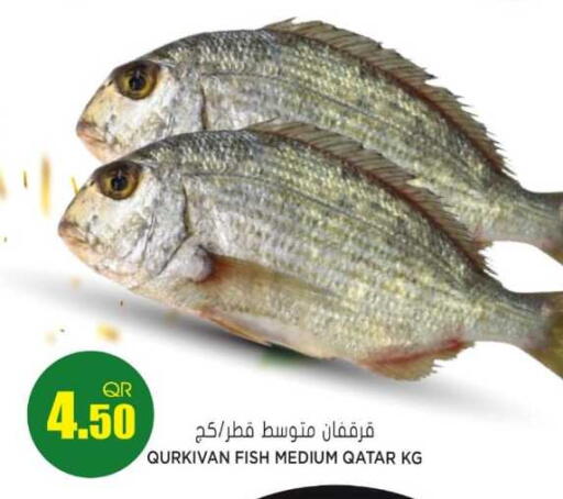 available at Grand Hypermarket in Qatar - Doha