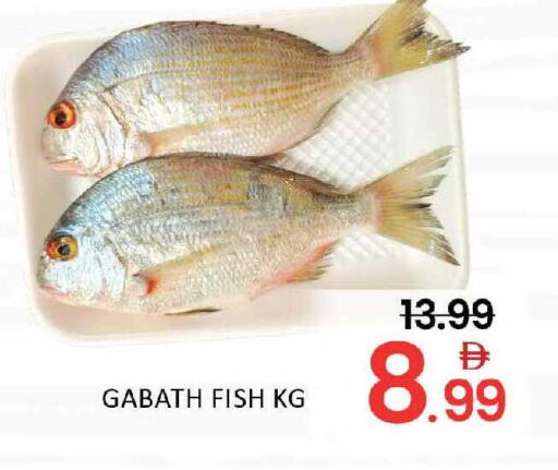 Mango available at Mango Hypermarket LLC in UAE - Dubai