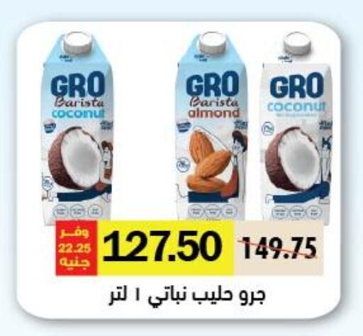 Coconut available at رويال هاوس in Egypt - القاهرة