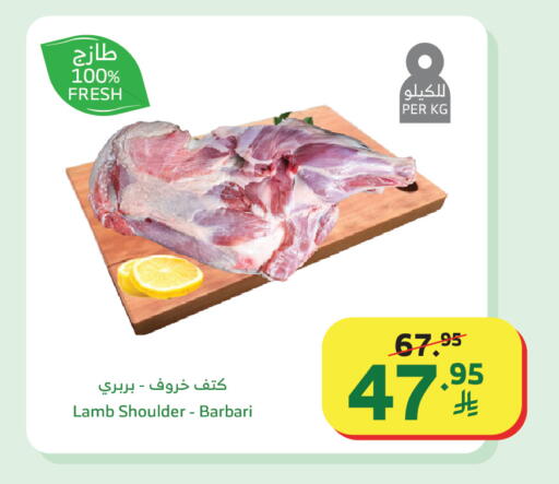 available at Al Raya in KSA, Saudi Arabia, Saudi - Al Qunfudhah