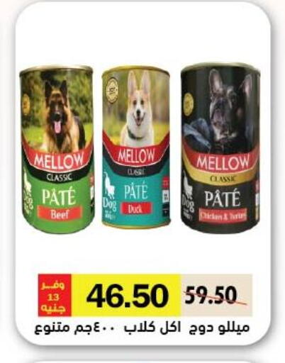 available at رويال هاوس in Egypt - القاهرة